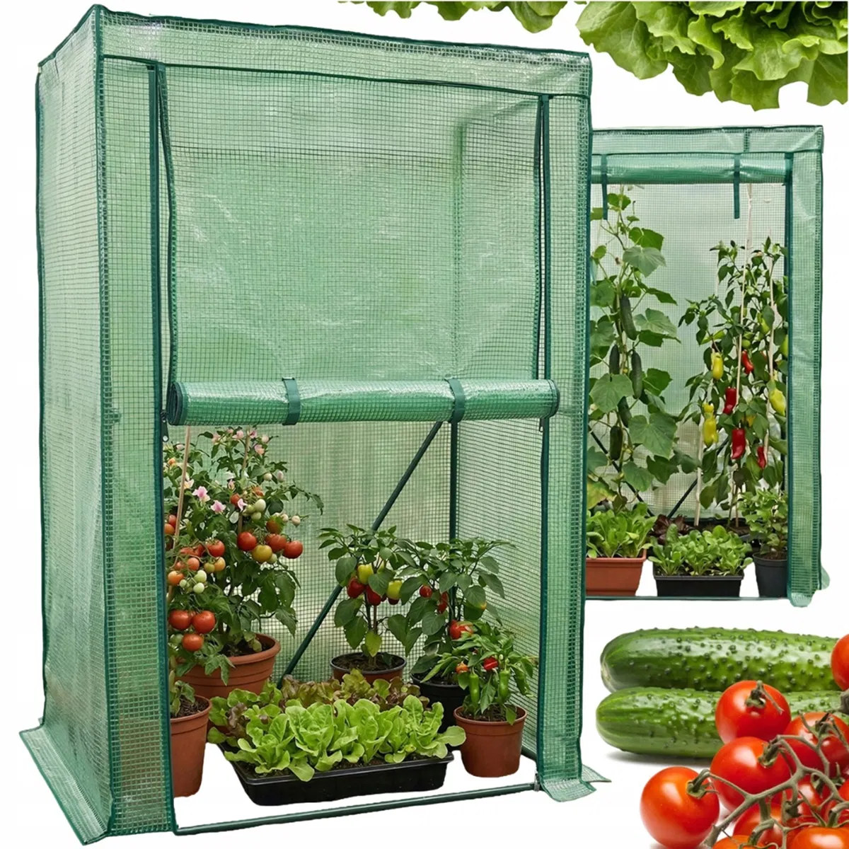 Mini invernadero de aluminio para plantas, ideal para balcones y jardines, con dimensiones de 150 x 100 x 50 cm. Diseño moderno, práctico y fiable, de líneas elegantes y sencillo. Solución versátil