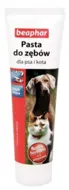 Pasta do zębów o smaku mięsa dla psa i kota BEAPHAR, 100 ml&nbsp;-&nbsp;Beaphar