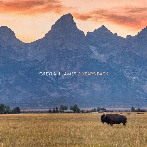 2 Years Back Greylan James