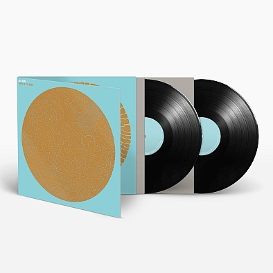 Made In The Dark, Płyta Winylowa Hot Chip