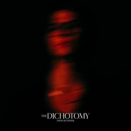The Dichotomy Kushner David