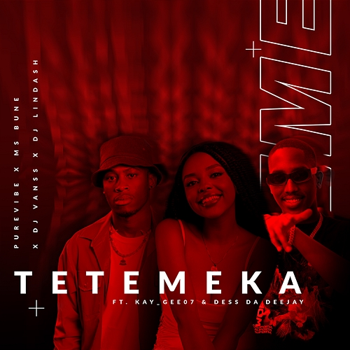 Tetemeka PureVibe, Dj Lindash, & Ms Bune feat. Dess Da Deejay, Dj VansS, Kay_Gee07
