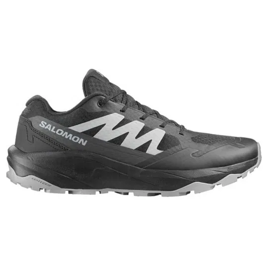 492287 Salomon