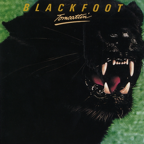 Tomcattin' Blackfoot