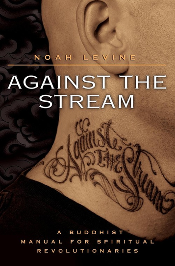 Against the Stream Levine Noah