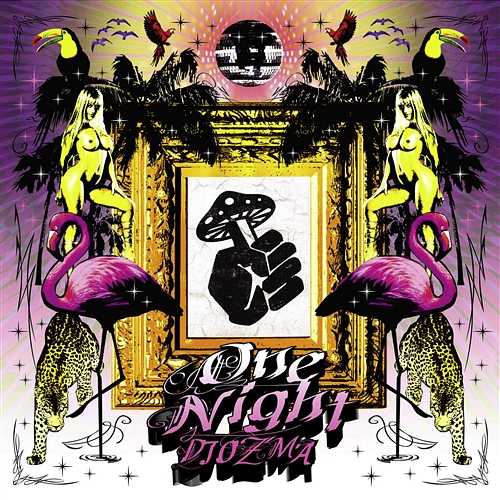 One Night DJ OZMA