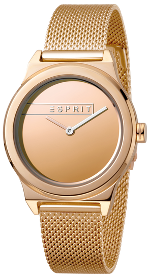 ES1L019M0095 Esprit