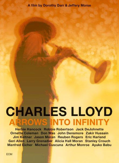 Arrows Into Infinity Lloyd Charles