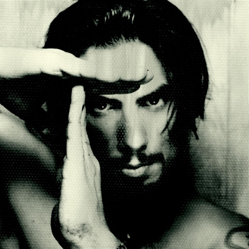 Trust No One Dave Navarro