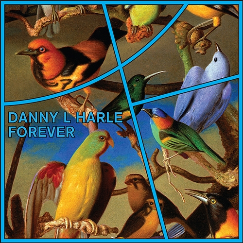 Forever Danny L Harle