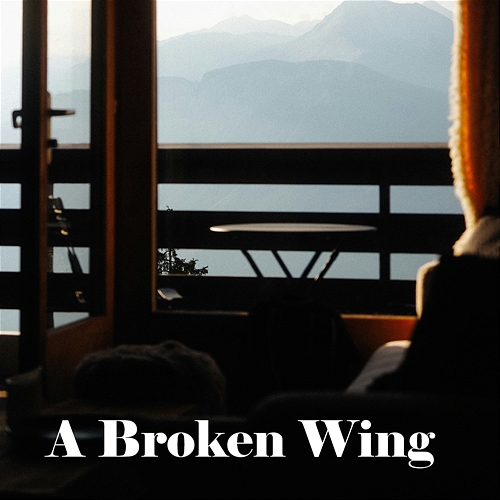 A Broken Wing Verity