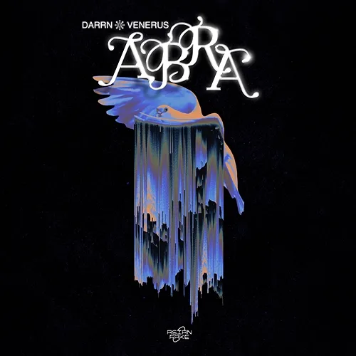 ABRA DARRN, Venerus