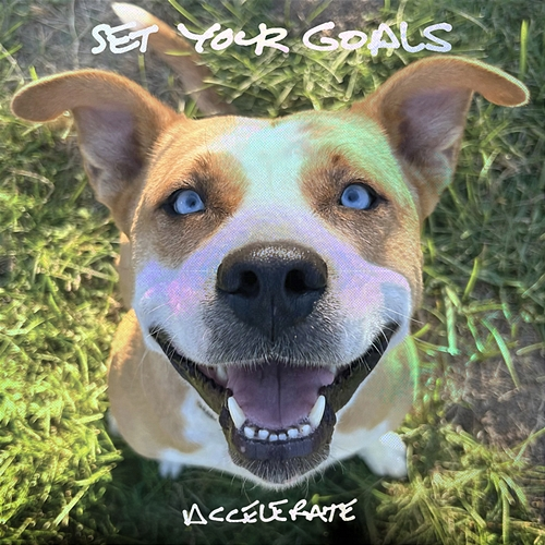 Accelerate Set Your Goals