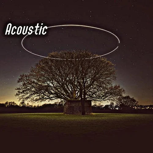 Acoustic Harry Jeffries
