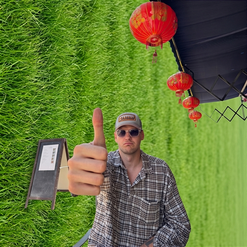 Alles Super Kai Baum