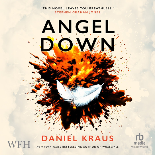 Angel Down - audiobook Kraus Daniel