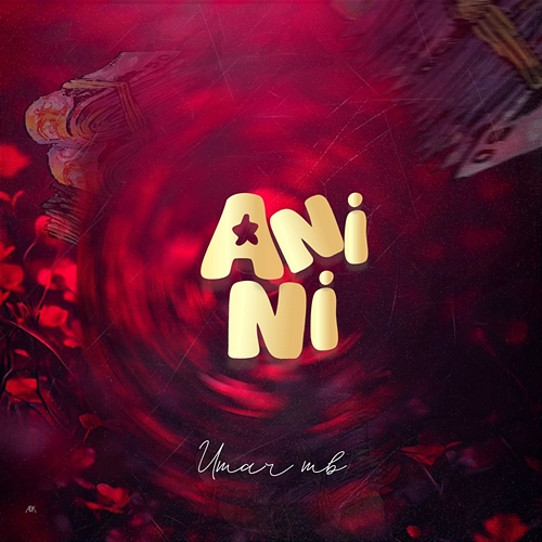 ANINI Umar MB