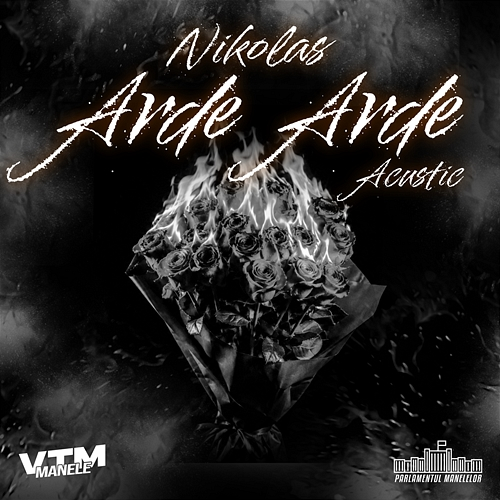 Arde, arde Nikolas, Manele VTM, Parlamentul Manelelor