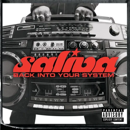 Back Into Your System Saliva