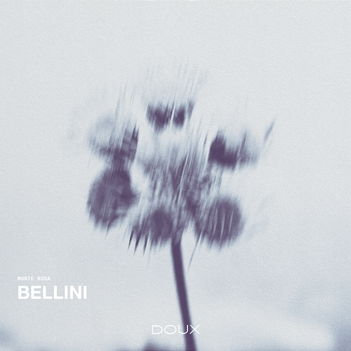 Bellini Monte Rosa