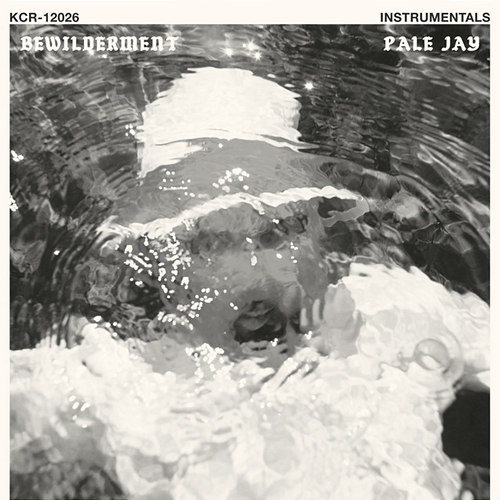 Bewilderment Pale Jay