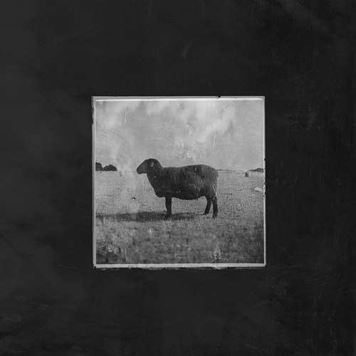 Black Sheep Ben Fuller