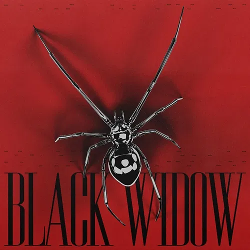 BLACK WIDOW Alok, Kickbait, Ceres