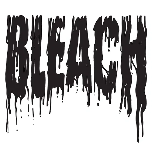 Bleach Call Me Karizma