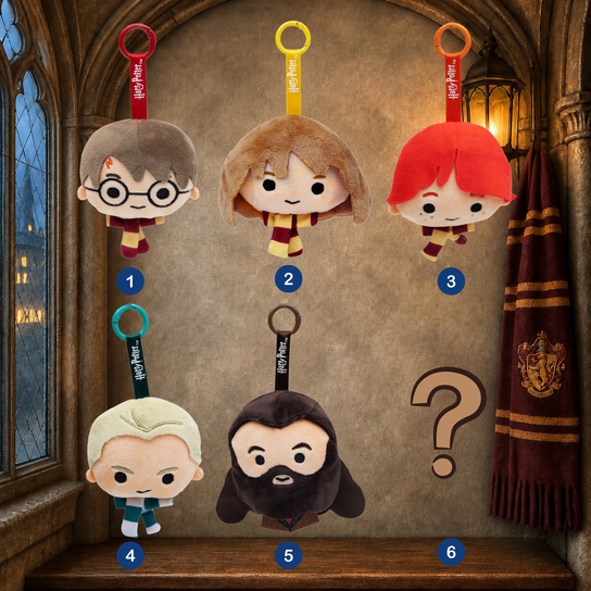 Blind BOX, Harry Potter, brelok pluszowy, wysyłka losowa Empik