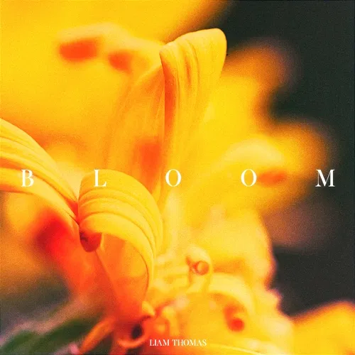 Bloom Liam Thomas