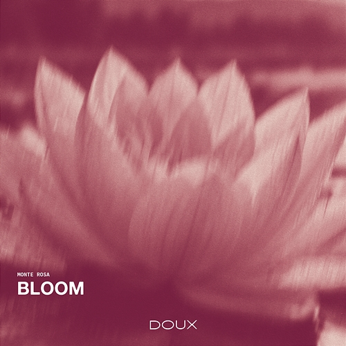 Bloom Monte Rosa