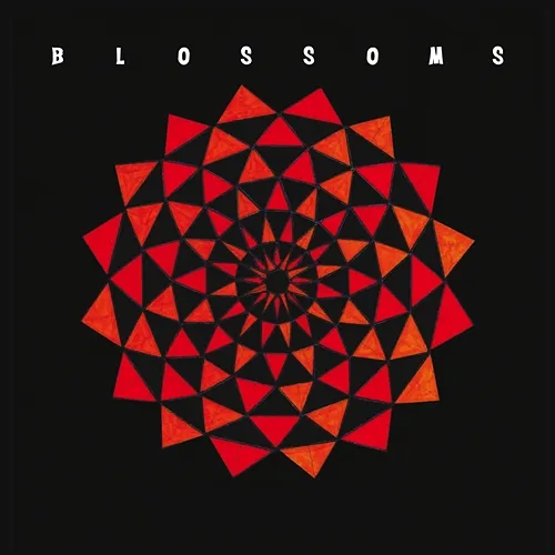 Blown Rose Blossoms