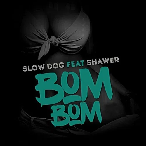 Bom Bom Slowdog, Shawer