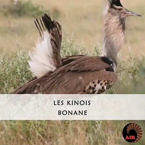 Bonane Les Kinois