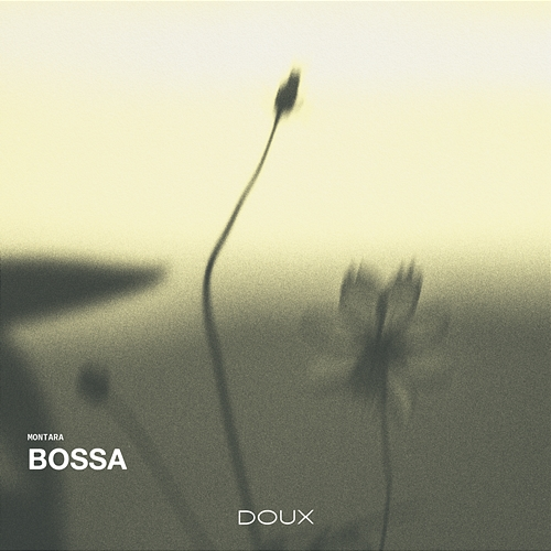 Bossa Monte Rosa