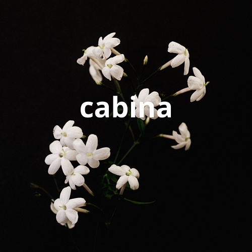 cabina Luis M
