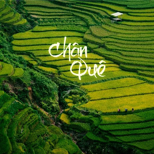 Chân Quê Cẩm Anh
