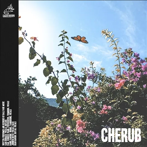 Cherub Ball Park Music