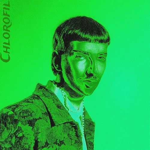 Chlorofil Dureń