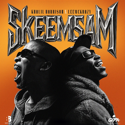 Connecta Khalil Harrison, LeeMcKrazy, DBN Gogo, Tyler ICU, Ceeka RSA, Al xapo