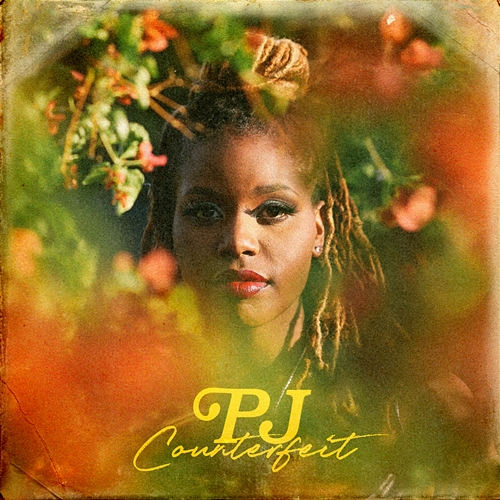 Counterfeit PJ