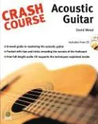 Crash Course Mead David