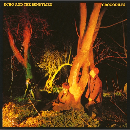 Crocodiles Echo, The Bunnymen