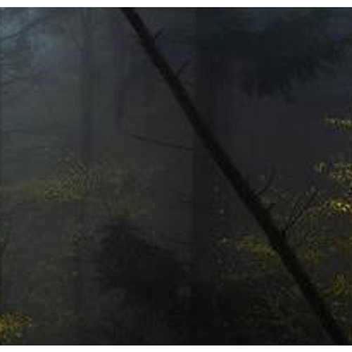 Devotion Every Cliff Breaks Evermore AERIN: