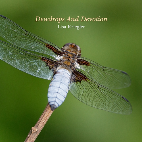 Dewdrops and Devotion Lisa Kriegler