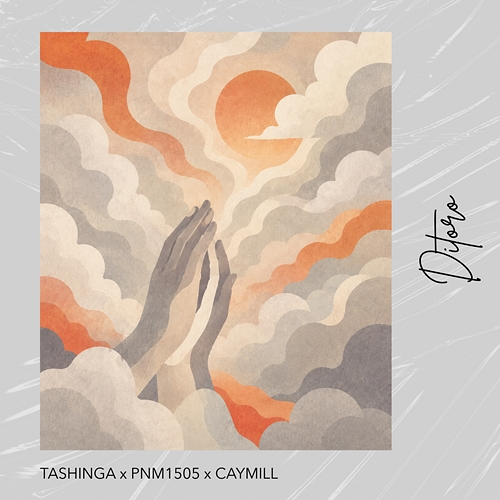 Ditoro Tashinga, PnM1505, Caymill
