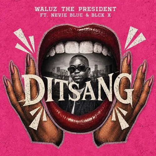 Ditsang Waluz the president, Nevie Blue, BLCK X