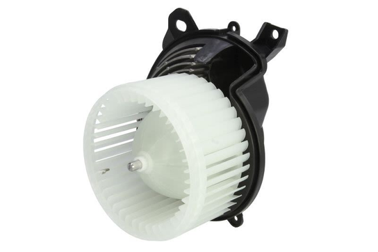 Dmuchawa THERMOTEC