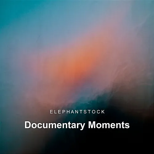 Documentary Moments ElephantStock