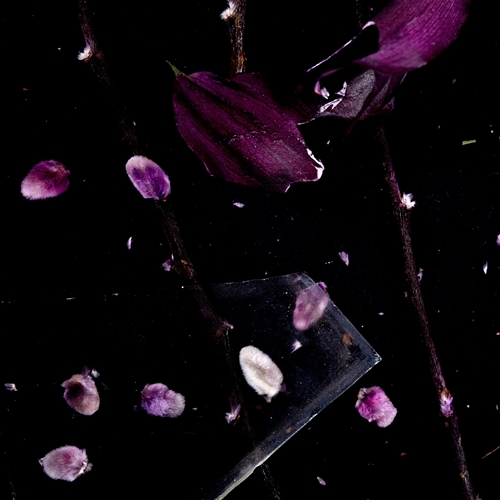 Drowning Kamma